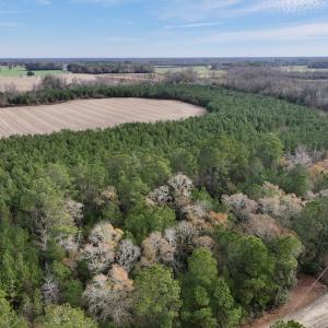 Photo #5 of Off Steeple Lake Road, La Grange, NC 1.4 acres