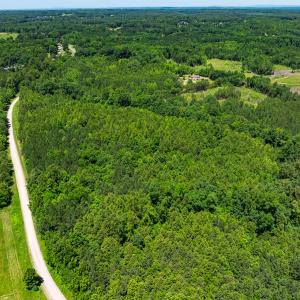 Photo #9 of Lot-5, Off Wilson Road, Providence, NC 14.6 acres