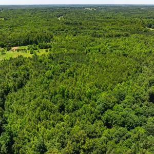 Photo #14 of Lot-5, Off Wilson Road, Providence, NC 14.6 acres