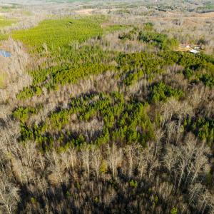 Photo #17 of Lot-5, Off Wilson Road, Providence, NC 14.6 acres