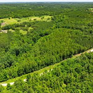 Photo #24 of Lot-5, Off Wilson Road, Providence, NC 14.6 acres