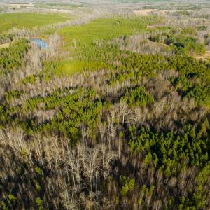 Photo #25 of Lot-5, Off Wilson Road, Providence, NC 14.6 acres