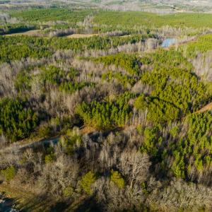 Photo #28 of Lot-5, Off Wilson Road, Providence, NC 14.6 acres