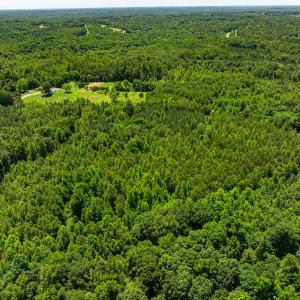 Photo #29 of Lot-5, Off Wilson Road, Providence, NC 14.6 acres