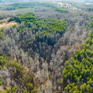 Photo #30 of Lot-5, Off Wilson Road, Providence, NC 14.6 acres
