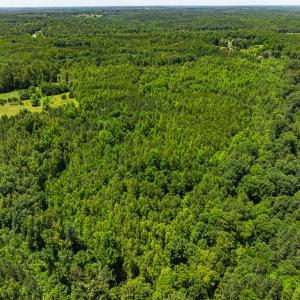 Photo #36 of Lot-5, Off Wilson Road, Providence, NC 14.6 acres