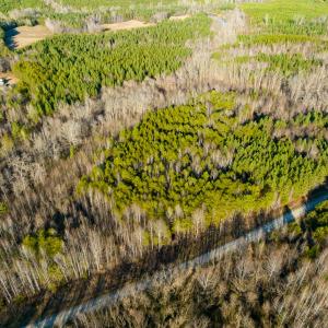 Photo #39 of Lot-5, Off Wilson Road, Providence, NC 14.6 acres