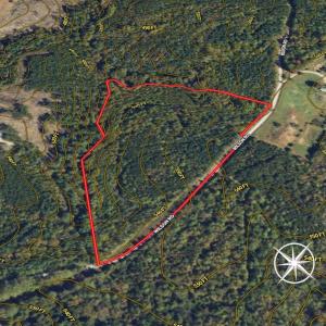Photo #40 of Lot-5, Off Wilson Road, Providence, NC 14.6 acres