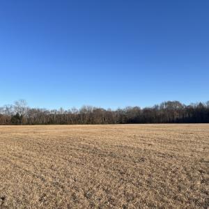 Photo #28 of Off Downing Street SW, Wilson, NC 41.3 acres