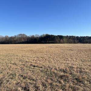 Photo #30 of Off Downing Street SW, Wilson, NC 41.3 acres