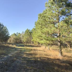 Photo #6 of Lot-5, Off Park Springs Road, Providence, NC 11.2 acres