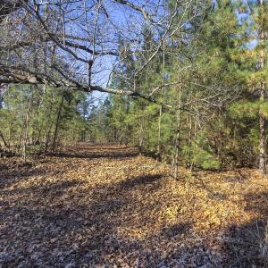 Photo #11 of Lot-5, Off Park Springs Road, Providence, NC 11.2 acres