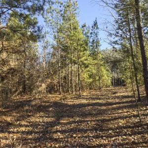 Photo #14 of Lot-5, Off Park Springs Road, Providence, NC 11.2 acres