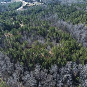 Photo #15 of Lot-5, Off Park Springs Road, Providence, NC 11.2 acres