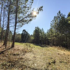 Photo #19 of Lot-5, Off Park Springs Road, Providence, NC 11.2 acres