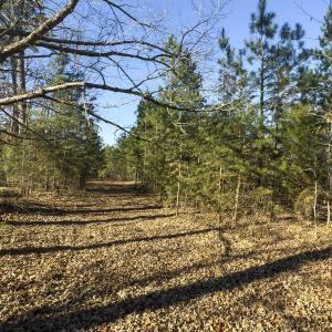 Photo #22 of Lot-5, Off Park Springs Road, Providence, NC 11.2 acres
