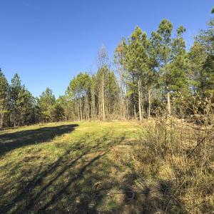 Photo #28 of Lot-5, Off Park Springs Road, Providence, NC 11.2 acres