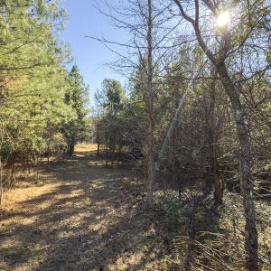 Photo #30 of Lot-5, Off Park Springs Road, Providence, NC 11.2 acres