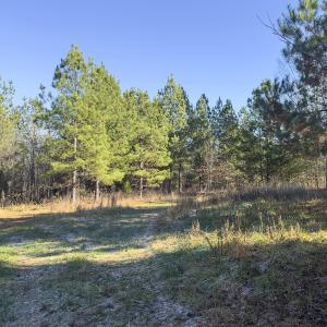 Photo #32 of Lot-5, Off Park Springs Road, Providence, NC 11.2 acres