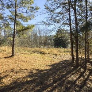 Photo #34 of Lot-5, Off Park Springs Road, Providence, NC 11.2 acres