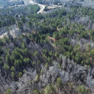 Photo #41 of Lot-5, Off Park Springs Road, Providence, NC 11.2 acres