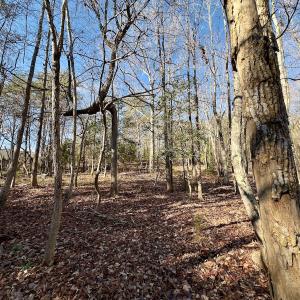 Photo #14 of 130 Bayview Court, New London, NC 1.3 acres