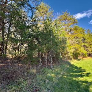 Photo #15 of 130 Bayview Court, New London, NC 1.3 acres