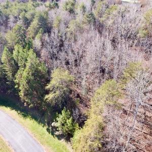 Photo #4 of 130 Bayview Court, New London, NC 1.3 acres