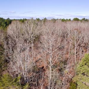 Photo #5 of 130 Bayview Court, New London, NC 1.3 acres