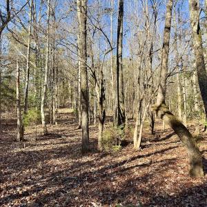 Photo #8 of 130 Bayview Court, New London, NC 1.3 acres