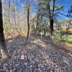 Photo #9 of 130 Bayview Court, New London, NC 1.3 acres
