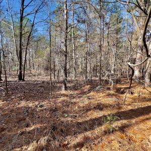 Photo #10 of 130 Bayview Court, New London, NC 1.3 acres