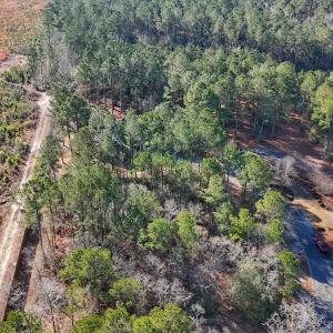 Photo #11 of 196 Cypress Pt, Wallace, NC 0.5 acres