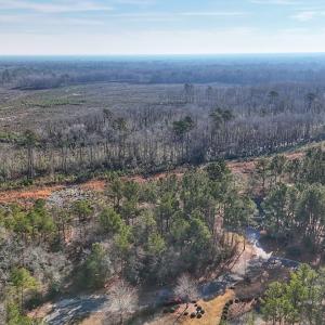 Photo #14 of 196 Cypress Pt, Wallace, NC 0.5 acres