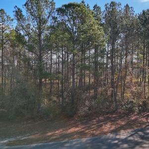 Photo #19 of 196 Cypress Pt, Wallace, NC 0.5 acres