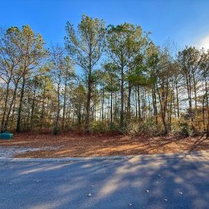 Photo #20 of 196 Cypress Pt, Wallace, NC 0.5 acres