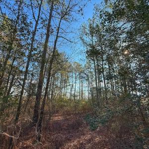Photo #22 of 196 Cypress Pt, Wallace, NC 0.5 acres