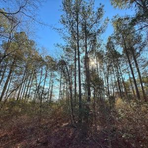 Photo #23 of 196 Cypress Pt, Wallace, NC 0.5 acres