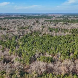 Photo #11 of SOLD property in Off Durwood Evans Rd, Beulaville, NC 31.6 acres