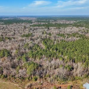 Photo #12 of SOLD property in Off Durwood Evans Rd, Beulaville, NC 31.6 acres