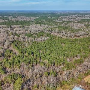 Photo #13 of SOLD property in Off Durwood Evans Rd, Beulaville, NC 31.6 acres