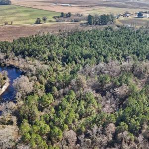 Photo #16 of SOLD property in Off Durwood Evans Rd, Beulaville, NC 31.6 acres