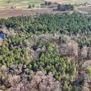 Photo #17 of SOLD property in Off Durwood Evans Rd, Beulaville, NC 31.6 acres