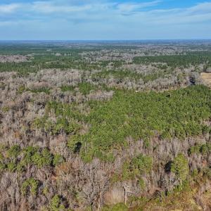 Photo #18 of SOLD property in Off Durwood Evans Rd, Beulaville, NC 31.6 acres