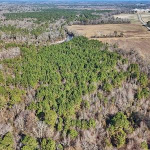 Photo #19 of SOLD property in Off Durwood Evans Rd, Beulaville, NC 31.6 acres
