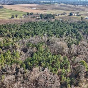 Photo #20 of SOLD property in Off Durwood Evans Rd, Beulaville, NC 31.6 acres