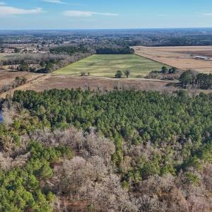 Photo #23 of SOLD property in Off Durwood Evans Rd, Beulaville, NC 31.6 acres