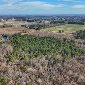 Photo #24 of SOLD property in Off Durwood Evans Rd, Beulaville, NC 31.6 acres