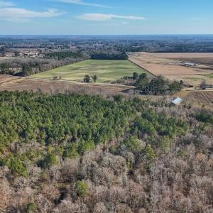 Photo #25 of SOLD property in Off Durwood Evans Rd, Beulaville, NC 31.6 acres