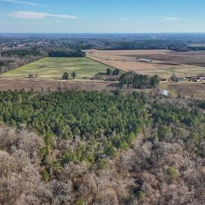 Photo #27 of SOLD property in Off Durwood Evans Rd, Beulaville, NC 31.6 acres